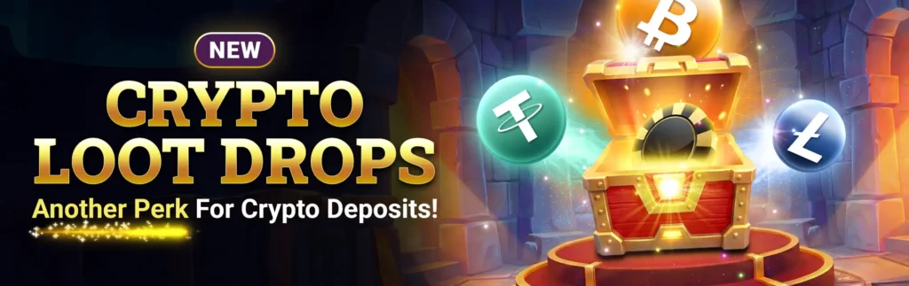 No Deposit Bonus Terms & Conditions